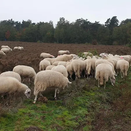 De Kleine Kriemelkuil {het Herdertje}