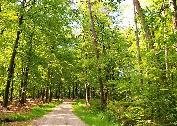 De Kleine Kriemelkuil {het Herdertje} Chalet Ermelo