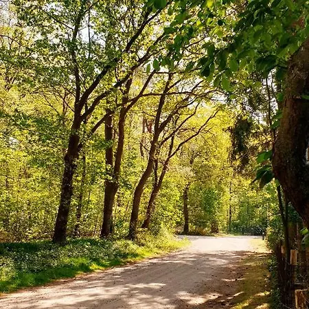 De Kleine Kriemelkuil {het Herdertje} Chalet Ermelo