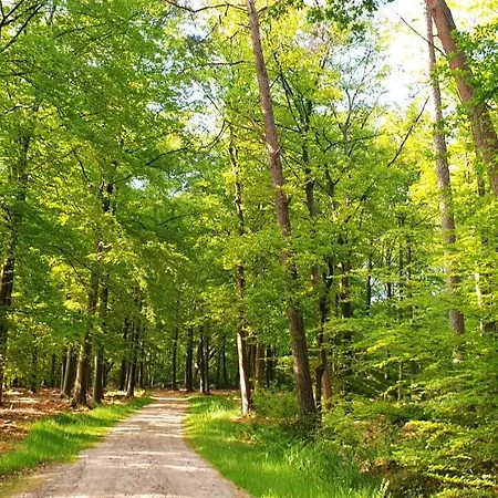 De Kleine Kriemelkuil {het Herdertje} Horská chata Ermelo